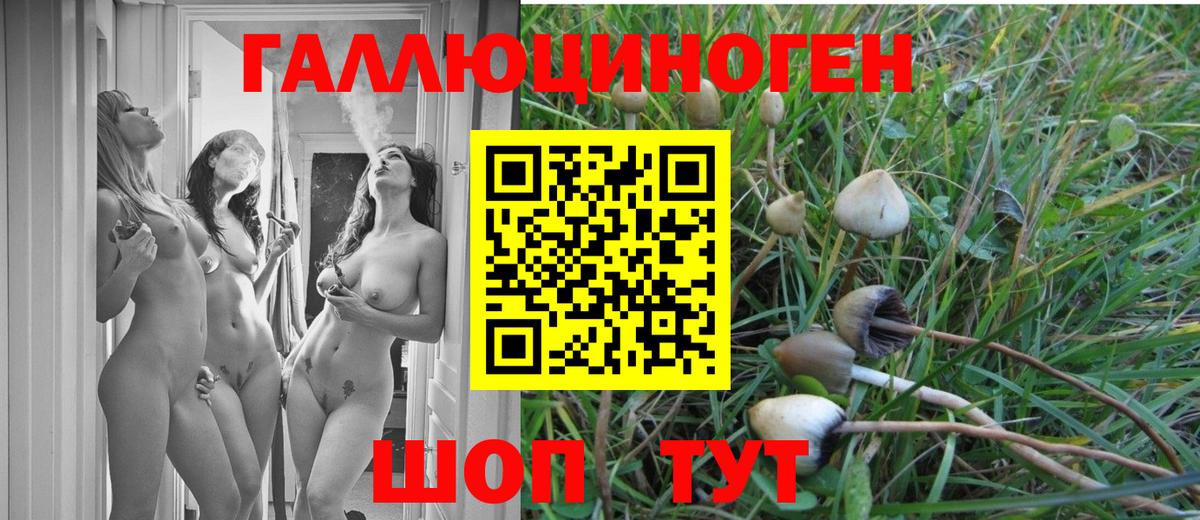 Галлюциногенные грибы Cubensis Лиски